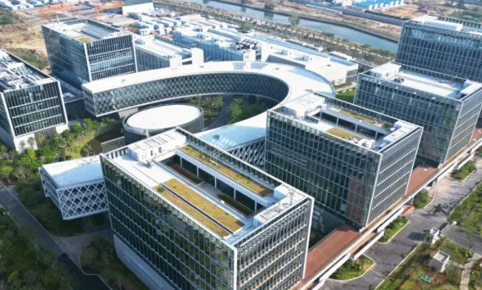 洛阳地区市政绿化工程苗木选型要点与反季节施工技术解析
